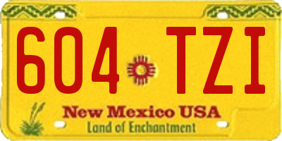 NM license plate 604TZI
