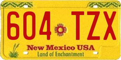 NM license plate 604TZX