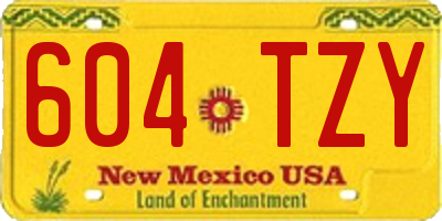 NM license plate 604TZY