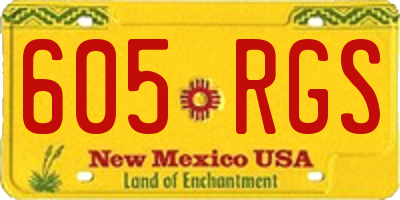 NM license plate 605RGS