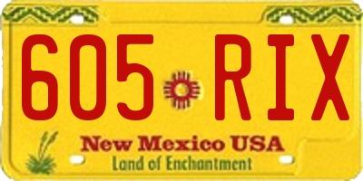 NM license plate 605RIX