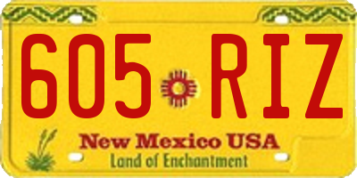 NM license plate 605RIZ