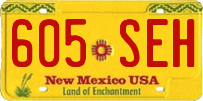 NM license plate 605SEH