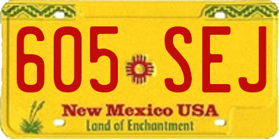 NM license plate 605SEJ