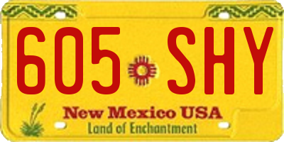 NM license plate 605SHY