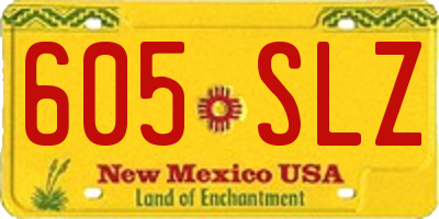 NM license plate 605SLZ