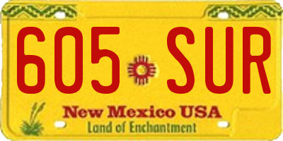 NM license plate 605SUR