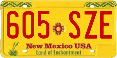 NM license plate 605SZE