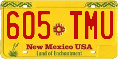 NM license plate 605TMU