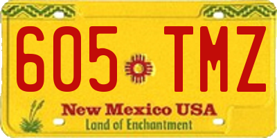 NM license plate 605TMZ