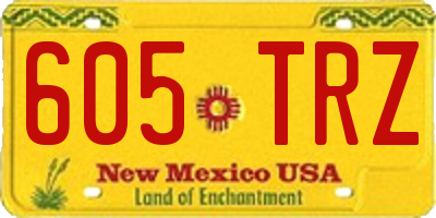 NM license plate 605TRZ