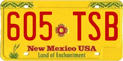 NM license plate 605TSB