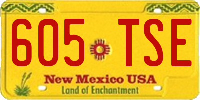 NM license plate 605TSE