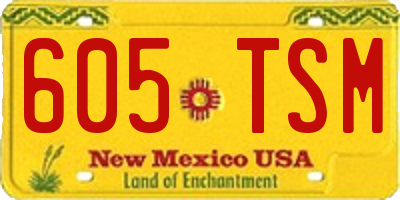 NM license plate 605TSM