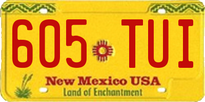 NM license plate 605TUI