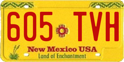 NM license plate 605TVH