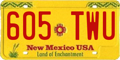 NM license plate 605TWU
