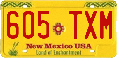 NM license plate 605TXM