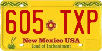 NM license plate 605TXP