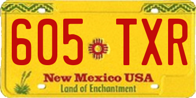 NM license plate 605TXR
