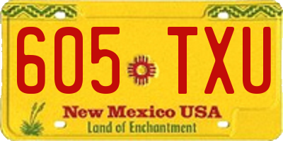 NM license plate 605TXU