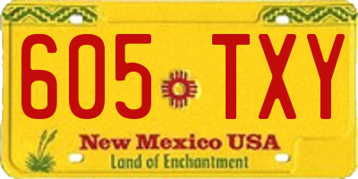 NM license plate 605TXY