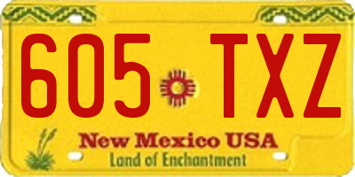 NM license plate 605TXZ