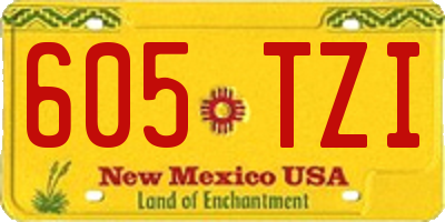 NM license plate 605TZI