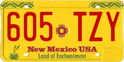 NM license plate 605TZY