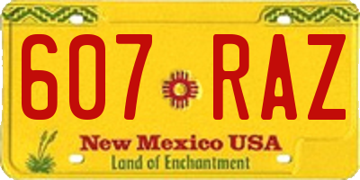 NM license plate 607RAZ