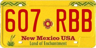 NM license plate 607RBB