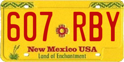 NM license plate 607RBY