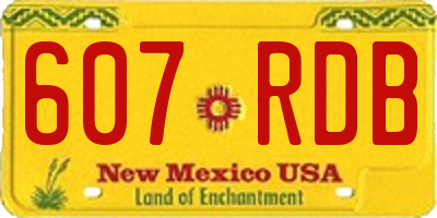 NM license plate 607RDB