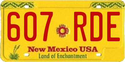NM license plate 607RDE