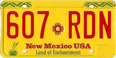 NM license plate 607RDN