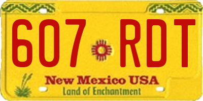 NM license plate 607RDT