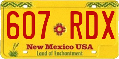 NM license plate 607RDX