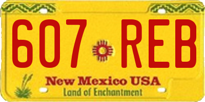 NM license plate 607REB