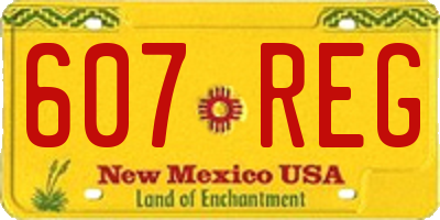 NM license plate 607REG