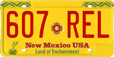 NM license plate 607REL