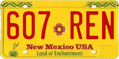 NM license plate 607REN