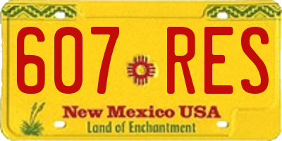 NM license plate 607RES