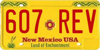 NM license plate 607REV