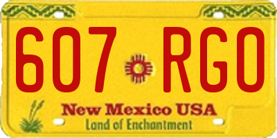 NM license plate 607RGO