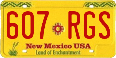 NM license plate 607RGS