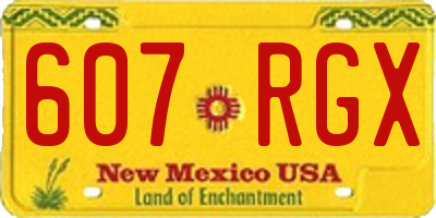 NM license plate 607RGX
