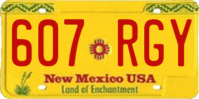 NM license plate 607RGY