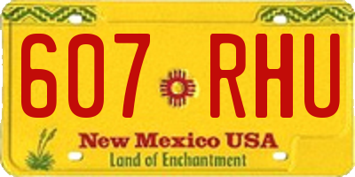 NM license plate 607RHU