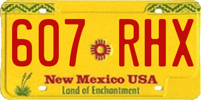 NM license plate 607RHX
