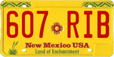 NM license plate 607RIB